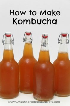 three bottles of kombucha with the words how to make kombucha