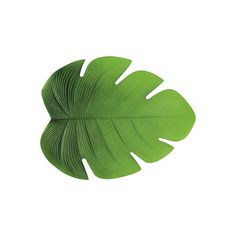 a green leaf on a white background