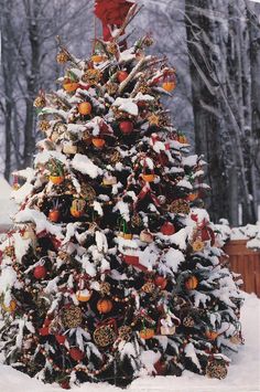 a christmas tree is covered in snow and orange ornaments are hanging from the top of it