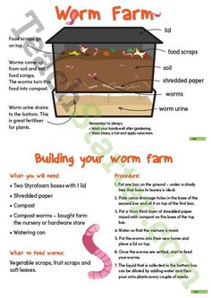 the farm worksheet for kids to learn how to build a worm farm with pictures