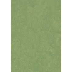 an image of a green background for a wallpaper or fabric design, it looks like paper