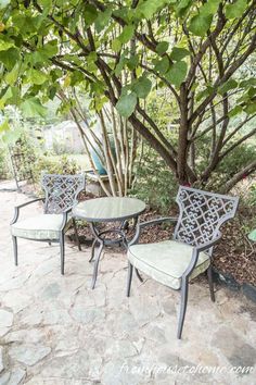 three chairs and a table sitting under a tree in the middle of a garden area