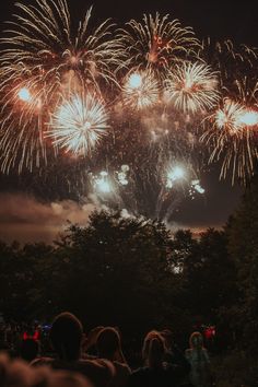 fireworks are lit up in the night sky above trees and people standing around watching them