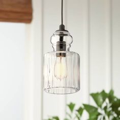 a clear glass light hanging from a ceiling fixture next to a potted green plant