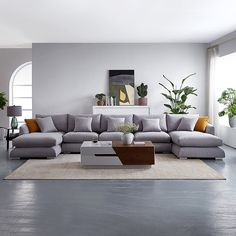 a living room with grey couches and potted plants on the table in front of it