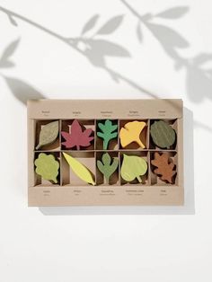 an open cardboard box filled with cut out leaves