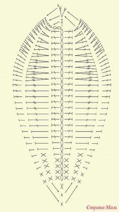 the diagram shows how many different lines are drawn on each side of the image, and where they appear to be