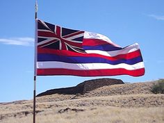 a flag flying in the wind on top of a hill