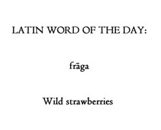 the cover of latin word of the day fraga wild strawberries, written in black ink