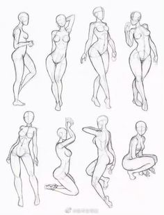 some female body sketches are shown in this image