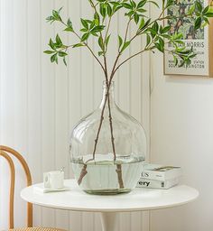 a glass vase with a plant in it sitting on a table