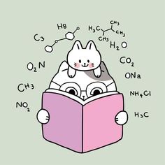 cute cat reading a book with chemical formulas on the background, cartoon character illustration