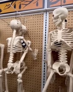 there are two skeleton statues in the store