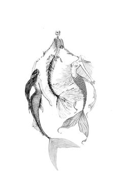 a drawing of two mermaids swimming in the ocean with one holding a fish tail