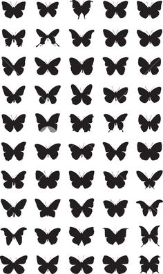 black and white silhouettes of butterflies on a white background