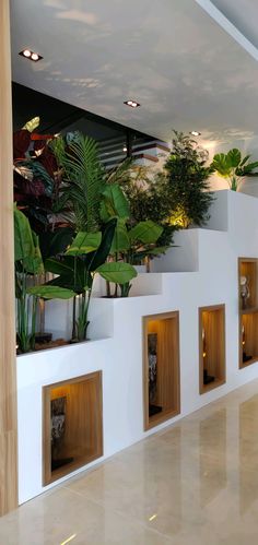 the planters are lined up against the wall in the building's lobby area