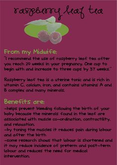 a recipe for raspberry leaf tea