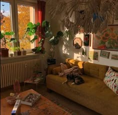 a living room filled with furniture and lots of plants on the wall next to a window