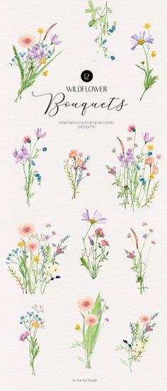 wildflower bouquets illustrated in watercolor and ink