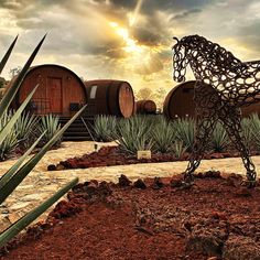 a statue of a horse is in the middle of a garden with barrels behind it