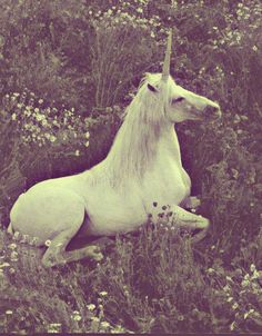 a white unicorn sitting in the middle of a field with wildflowers and weeds