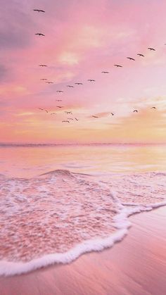 birds flying over the ocean at sunset with pink sky and white foamy waves on the beach