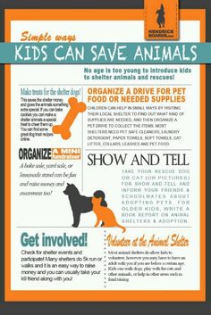 an orange and black poster with words describing how animals can save their lives in the wild