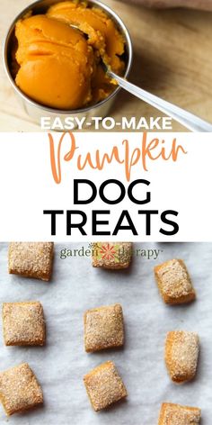 easy to make pumpkin dog treats with text overlay