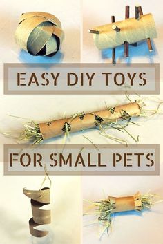 easy diy toys for small pets