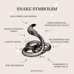 the anatomy of a snake's body and its parts in black and white, with caption below