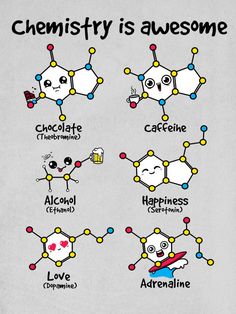 an image of the different types of chemicals that are labeled in their respective words