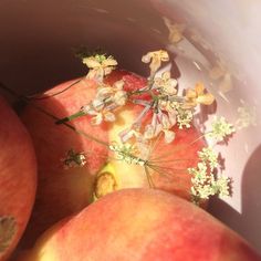 some apples are in a bowl with flowers on the top and one is half eaten