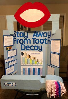 a display with toothbrushes and dental hygiene information