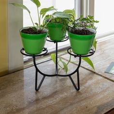 three potted plants sitting on top of a metal stand in front of a window