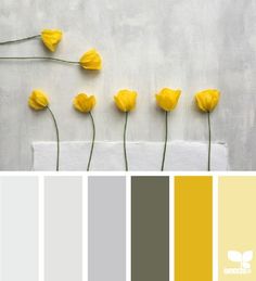 some yellow flowers are in the middle of a color palette with white and gray colors