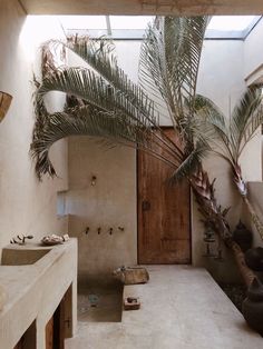 a bathroom with a palm tree in the corner and a sink on the other side