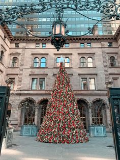 a large christmas tree in front of a building