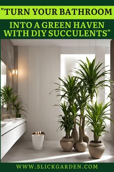 three potted plants in front of a bathroom sink with the words turn your bathroom into a green haven with diy succulentts