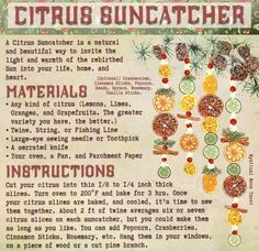 an old recipe for citrus suncather