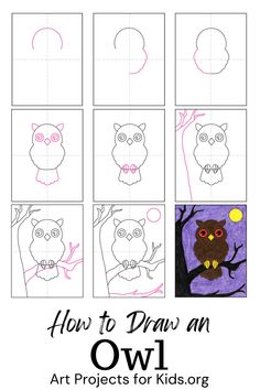 how to draw an owl for kids that is easy and fun with pictures on it