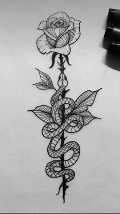 a rose and snake tattoo design on paper