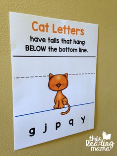 a sign on the wall that says cat letters have tails that hang below the bottom line