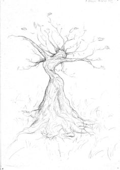 a drawing of a tree with no leaves