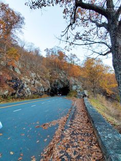 the road is lined with trees and leaves on both sides, as well as a rock formation