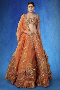 A gorgeous lehenga adorned with intricate aari and foil work, complemented by cutdana embellishments. This orange organza outfit is a perfect blend of tradition and modern elegance. WASH CARE INSTRUCTIONS - Please Dry clean only when it is applicable! Ready to Ship! Organza Outfit, Gorgeous Lehenga, Celebrity Plastic Surgery, Aari Work, Bridal Lehenga, Famous Celebrities, Wedding Looks, Modern Elegance, Plastic Surgery