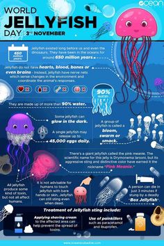 jellyfish info sheet with information about the different types of jellyfish and how to use them