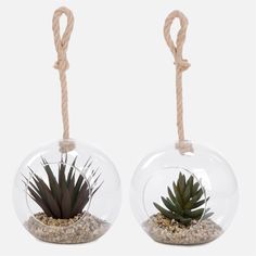 two clear glass vases with plants in them hanging from twine rope on white background