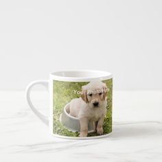 a puppy sitting in a bowl on the ground