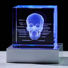 a blue light up human skull in a clear glass case on a white table with black background