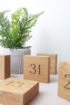 wooden blocks with numbers on them sitting next to a potted plant